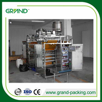 Creme/gel/jam/ketchup/pasta Sachet Packing Machine